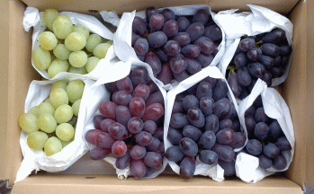 �b�B����