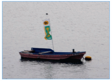 �N���l�R���}�g�Q