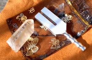 �V�g�̉���