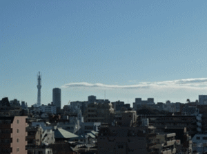 �X�J�C�c���[