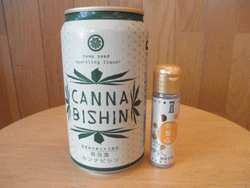 ��؃C���V�����傫����r