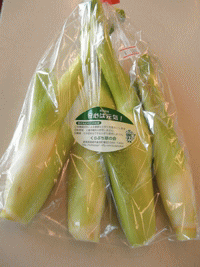 ��؂܂�������