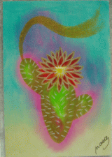 �T�{�e�������c