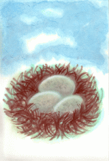 ���̒��̗�