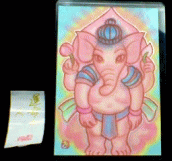 �K�l�[�V��