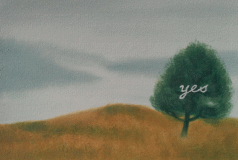 �C�M���X�r����P