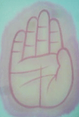 �����̎�