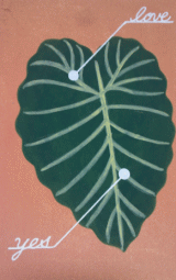 �s����N���Y�C��